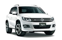 Запчасти Volkswagen Tiguan в Оренбурге